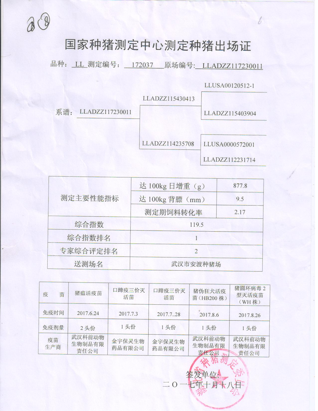 祝贺XPJ在第十七届种猪拍卖会中成功拍回冠军种猪